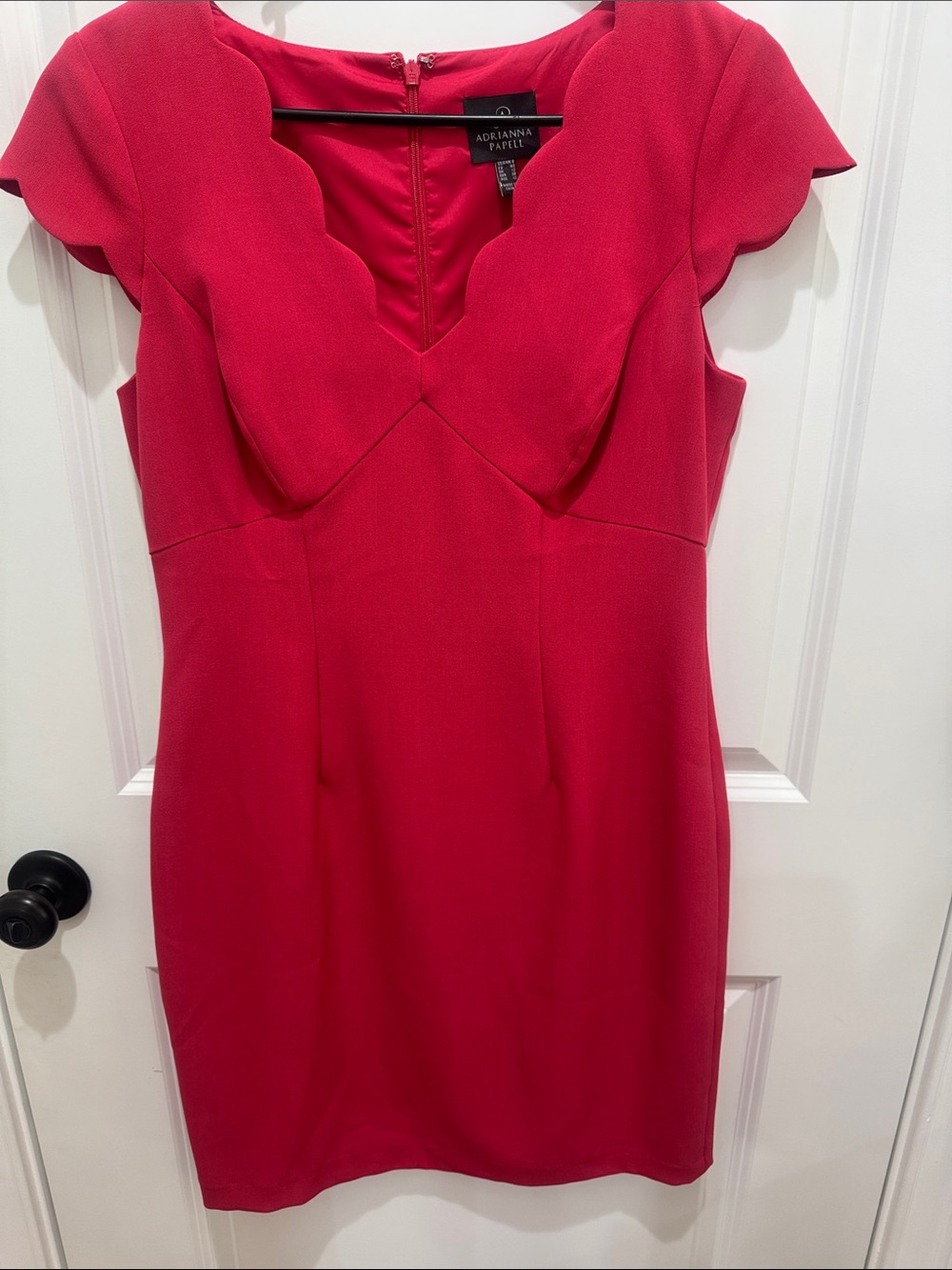 Adrianna Papell Scallop-Edge Mini Dress in Raspberry